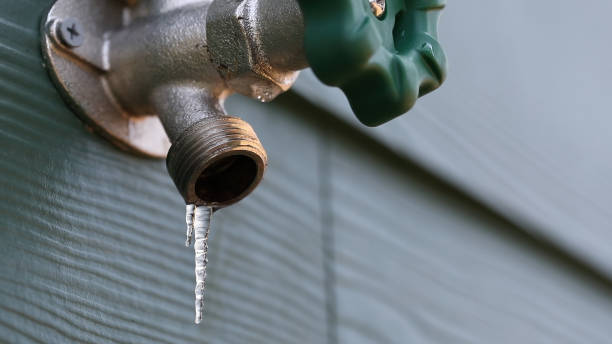 Best Local Plumber Services  in Genesee, ID